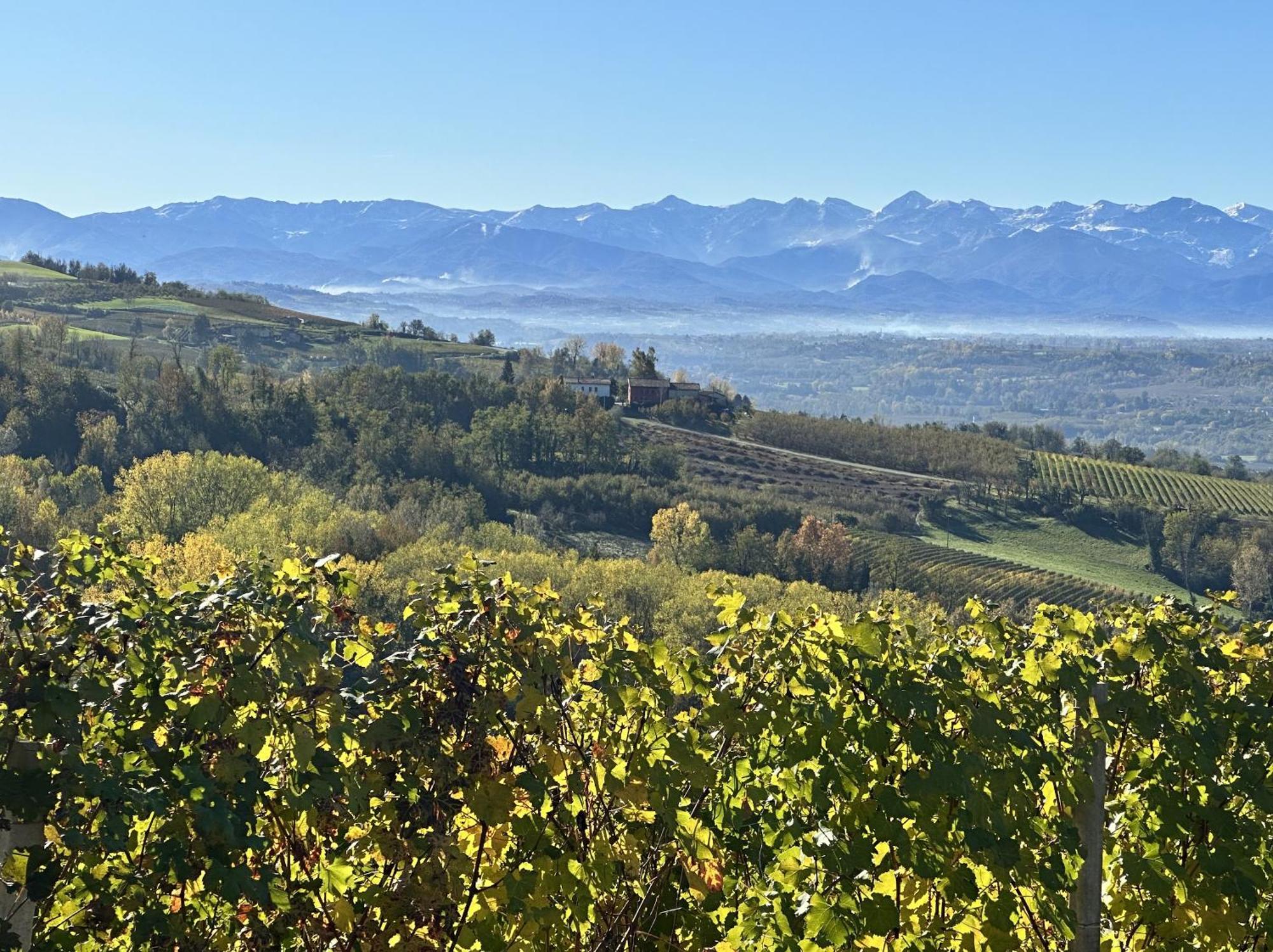 Just Langhe Casa Barolo Βίλα Novello Εξωτερικό φωτογραφία