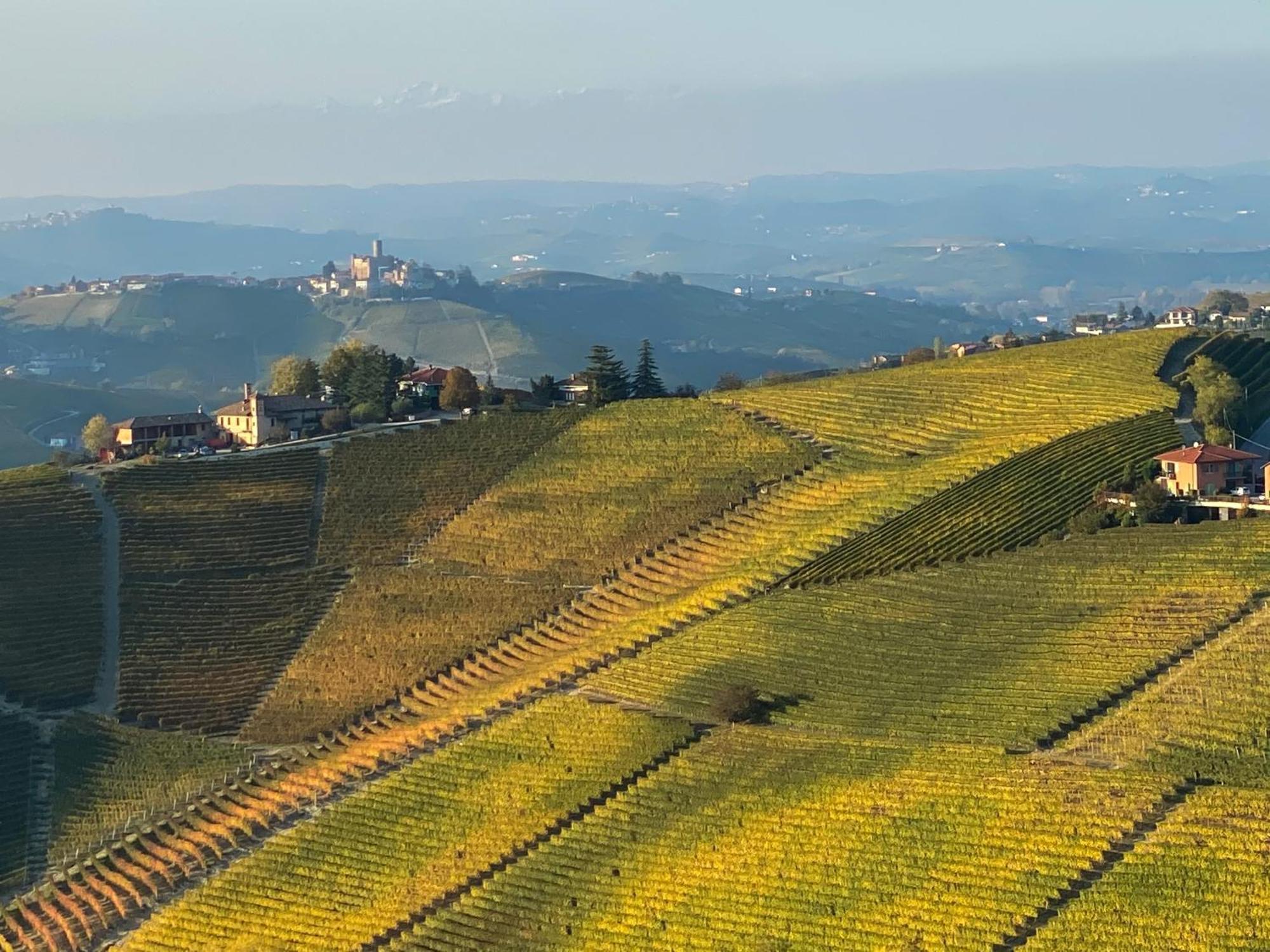 Just Langhe Casa Barolo Βίλα Novello Εξωτερικό φωτογραφία