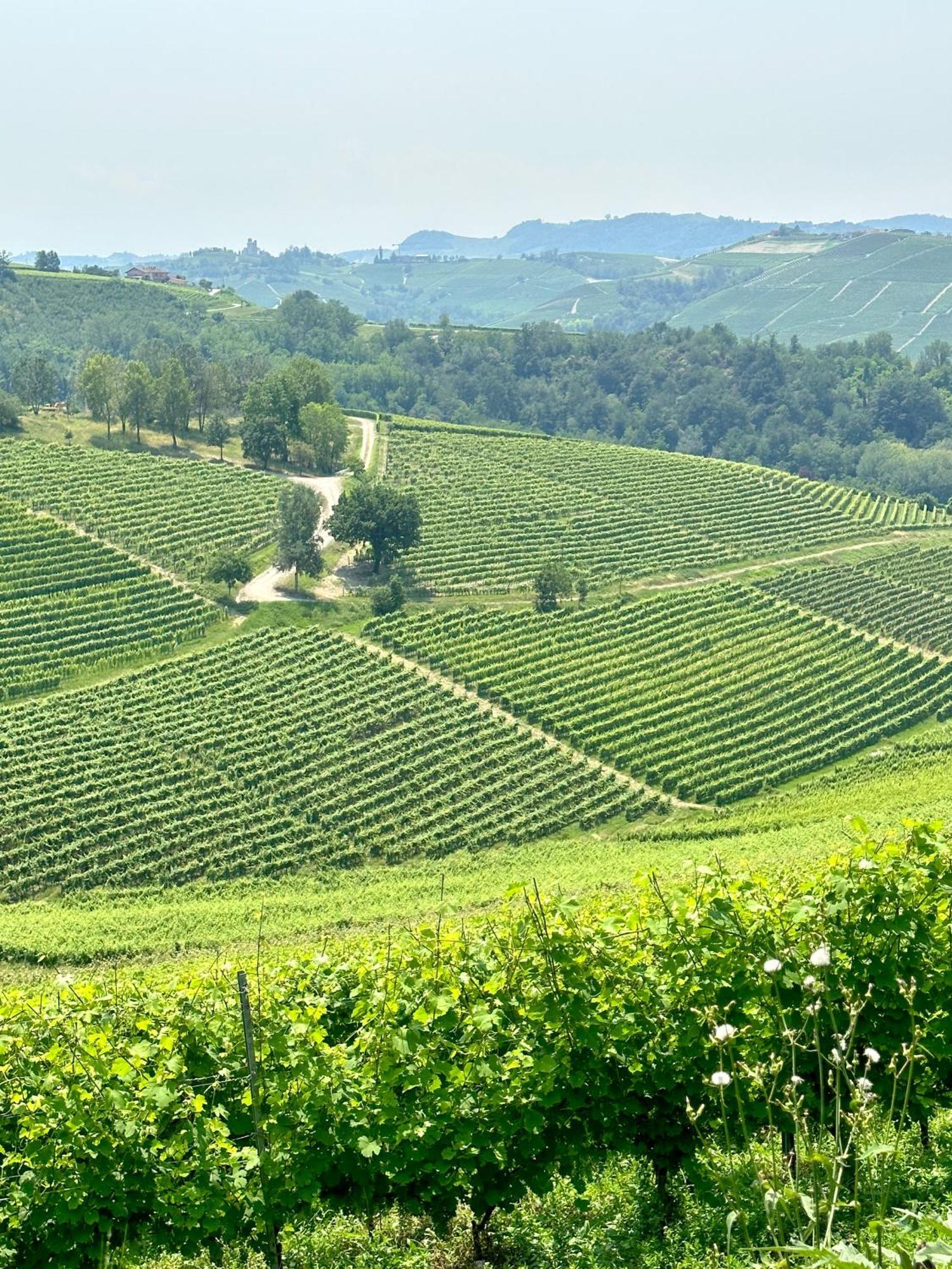 Just Langhe Casa Barolo Βίλα Novello Εξωτερικό φωτογραφία