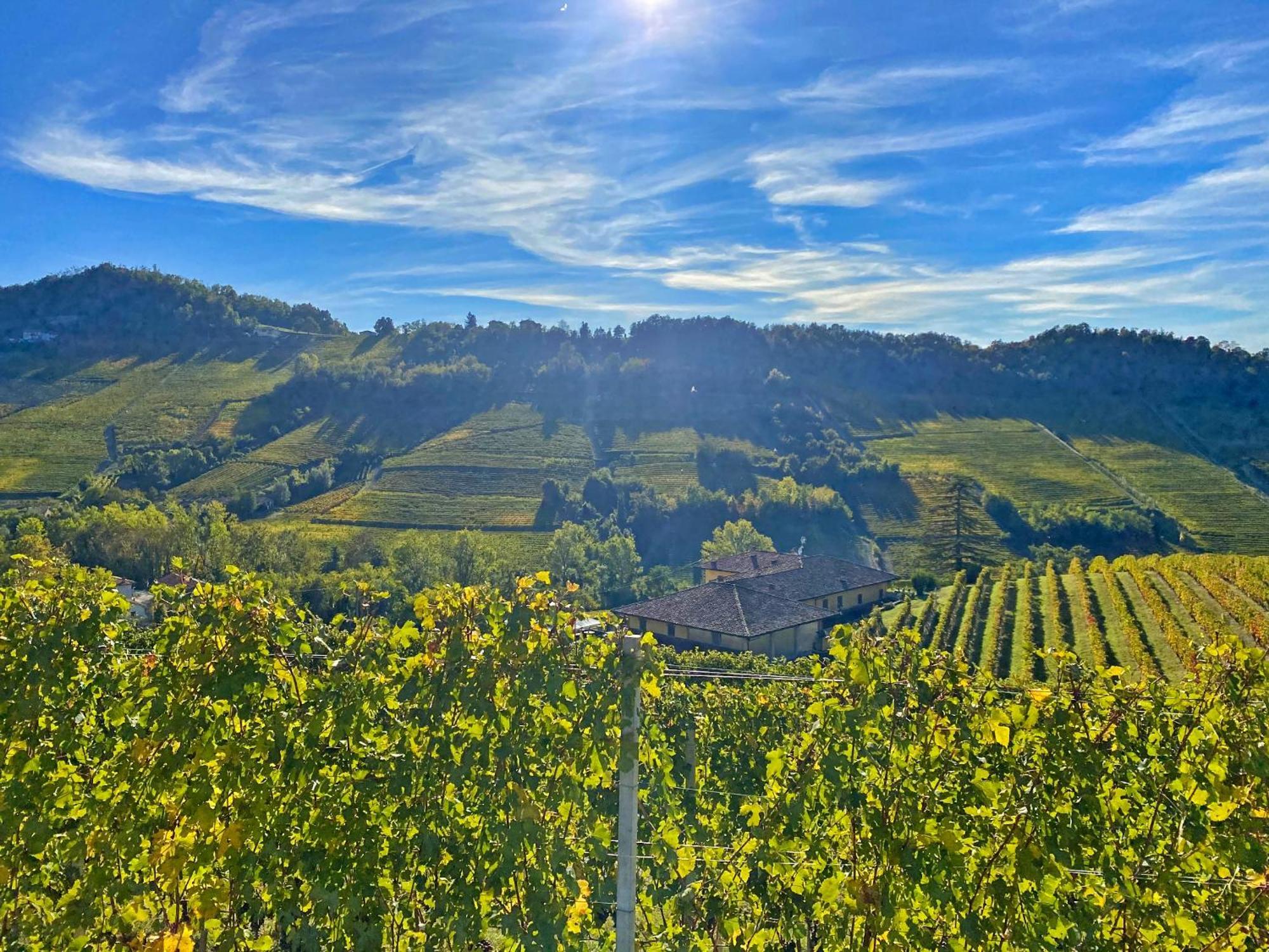 Just Langhe Casa Barolo Βίλα Novello Εξωτερικό φωτογραφία